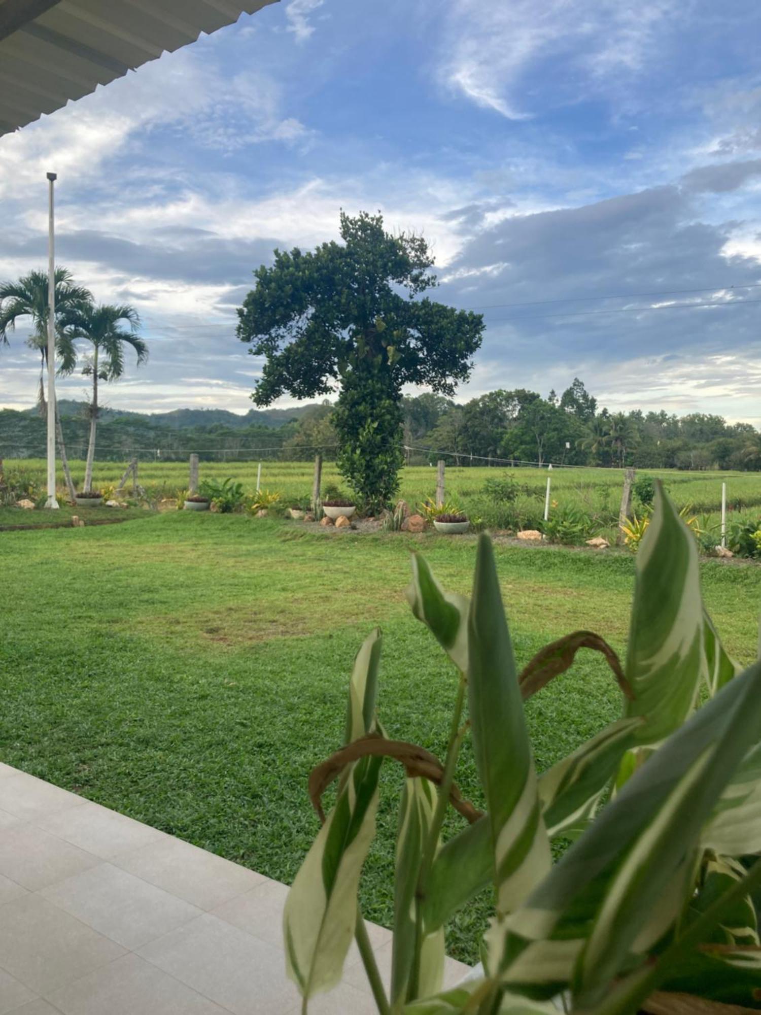 The Eliana Farm Resort And Villas Manolo Fortich Esterno foto
